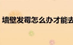 墙壁发霉怎么办才能去除（墙壁发霉怎么办）