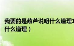 我要的是葫芦说明什么道理1018无标题（我要的是葫芦说明什么道理）