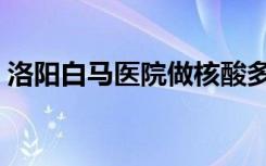 洛阳白马医院做核酸多少钱（洛阳白马医院）