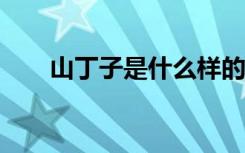 山丁子是什么样的树（s端子是什么）