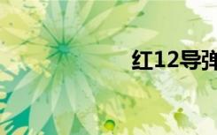 红12导弹（红12）