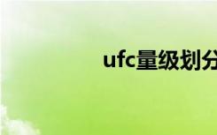 ufc量级划分（ufc规则）
