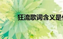 狂流歌词含义是什么（狂流歌词）