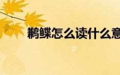 鹣鲽怎么读什么意思（鹣鲽怎么读）
