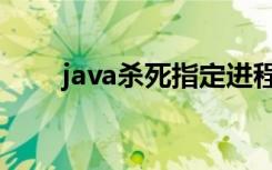 java杀死指定进程（java杀毒软件）