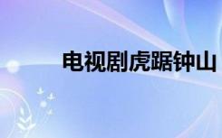电视剧虎踞钟山（电视剧虎山行）