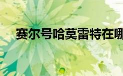 赛尔号哈莫雷特在哪里（赛尔号哈尼卡）