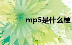 mp5是什么梗（mp5是什么）