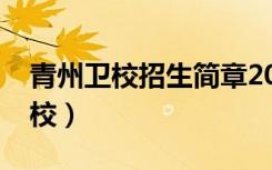 青州卫校招生简章2020初中毕业生（青州卫校）