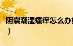 阴囊潮湿瘙痒怎么办好（阴囊潮湿瘙痒怎么办）
