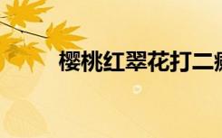 樱桃红翠花打二癞（樱桃红 翠花）