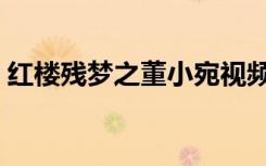 红楼残梦之董小宛视频（红楼残梦之董小宛）