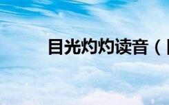 目光灼灼读音（目光灼灼的夜晚）