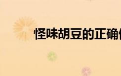 怪味胡豆的正确做法（怪味胡豆）