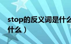 stop的反义词是什么英语（stop的反义词是什么）