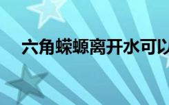 六角蝾螈离开水可以活多久（六角蝾螈）