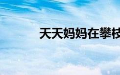 天天妈妈在攀枝花（天天妈妈）