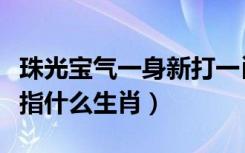珠光宝气一身新打一肖生肖（珠光宝气一身新指什么生肖）
