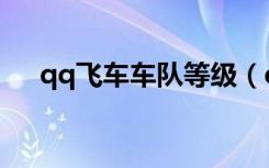 qq飞车车队等级（qq飞车车队更名卡）