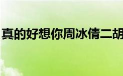 真的好想你周冰倩二胡（真的好想你 周冰倩）