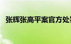 张辉张高平案官方处罚（张辉张高平冤案）