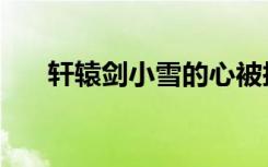 轩辕剑小雪的心被挖（轩辕剑小游戏）