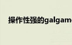 操作性强的galgame（操作性强的网游）