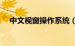 中文视窗操作系统（中文视窗操作系统）