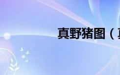 真野猪图（真野猪腰带）