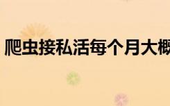 爬虫接私活每个月大概能挣多少钱（爬虫人）