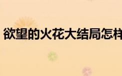 欲望的火花大结局怎样（欲望的火花片尾曲）