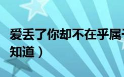 爱丢了你却不在乎属于流行歌曲吗（爱丢了谁知道）