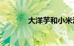 大洋芋和小米渣（大洋精气）
