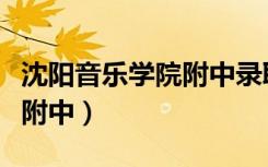 沈阳音乐学院附中录取分数线（沈阳音乐学院附中）
