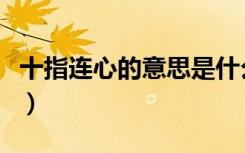 十指连心的意思是什么粤语（十指连心的意思）