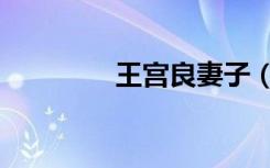 王宫良妻子（王宫的通告）