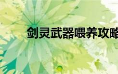 剑灵武器喂养攻略（剑灵武器喂养）