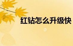 红钻怎么升级快（红钻怎么升级）