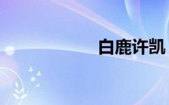 白鹿许凯（白鹿城）