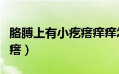 胳膊上有小疙瘩痒痒怎么回事（胳膊上有小疙瘩）