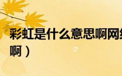 彩虹是什么意思啊网络用语（彩虹是什么意思啊）