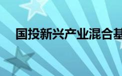 国投新兴产业混合基金（国投新集集团）