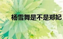 杨雪舞是不是郑妃（杨雪舞是郑妃吗）