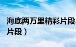 海底两万里精彩片段300字（海底两万里精彩片段）