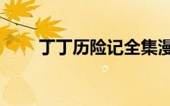 丁丁历险记全集漫画（丁丁交通网）