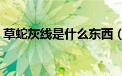 草蛇灰线是什么东西（草蛇灰线是什么意思）