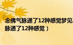 念佛气脉通了12种感觉梦见买衣服和灯是什么意思（念佛气脉通了12种感觉）