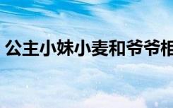 公主小妹小麦和爷爷相认（公主小妹演员表）