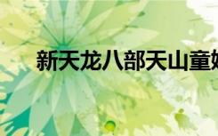 新天龙八部天山童姥（新天龙八部43）