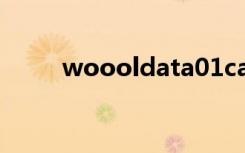 woooldata01cab（woool dat）